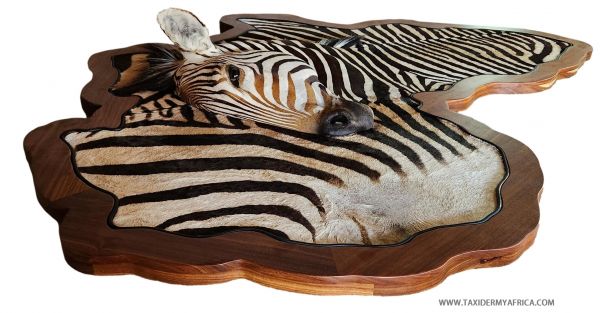 Zebra 3D Mount
