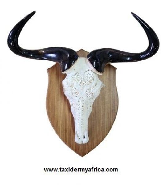 Blue Wildebeest with polished horns and carved skull on shield