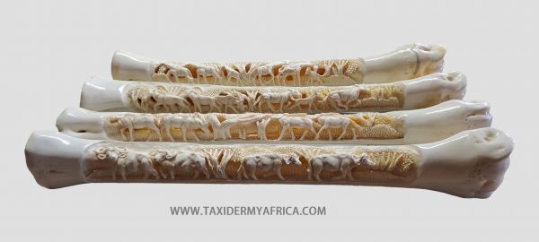 Carved / Scrimshaw Giraffe Bones