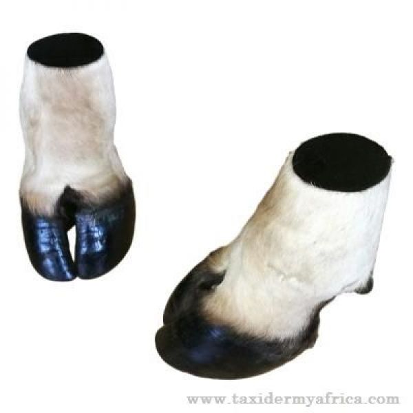 Eland Feet - Tan & Set