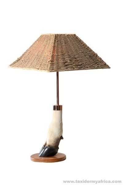 Eland foot lamp