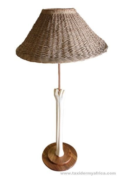 Giraffe bone Lamp