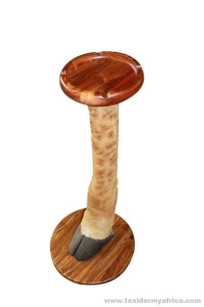 Giraffe foot ashtray