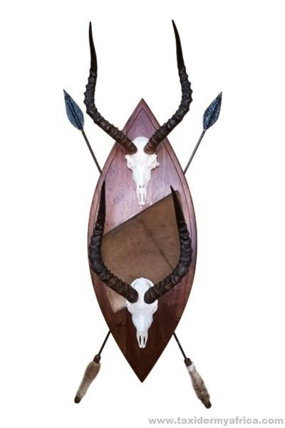 Impala Duo Custom Zulu Shield