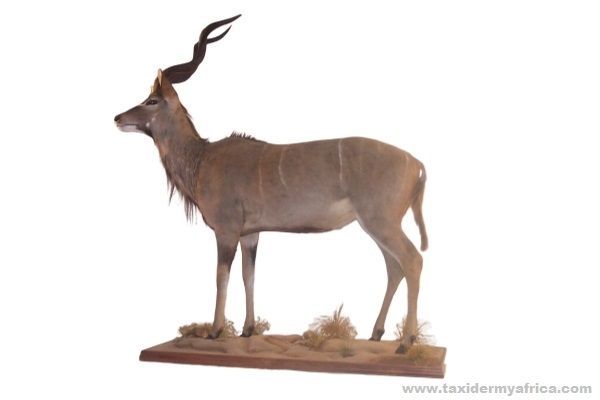 Kudu Full Mount