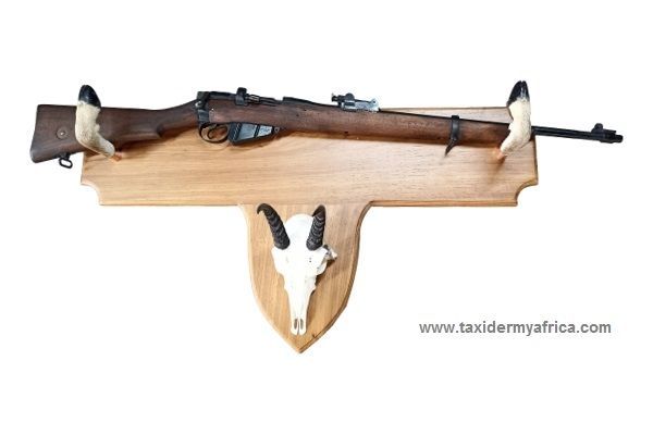 Custom Gun Rack with Mtn Reedbuck skull and feet