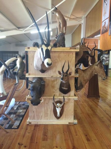 Taxidermy Africa at HuntEx Jeffreys Bay