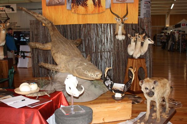 Taxidermy Africa at HuntEx Jeffreys Bay