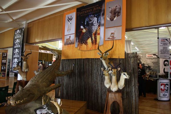 Taxidermy Africa at HuntEx Jeffreys Bay