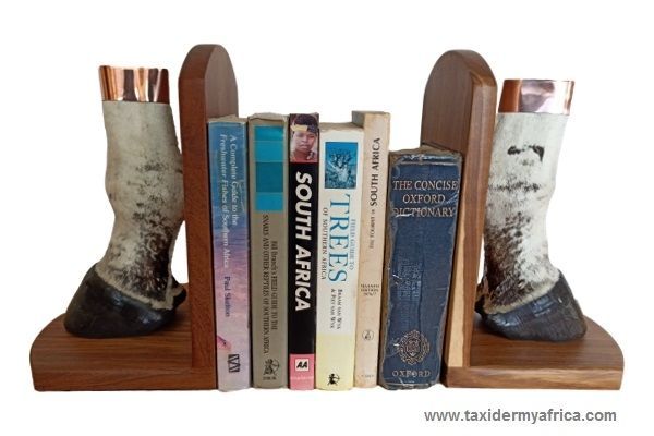 Zebra Feet Book Ends