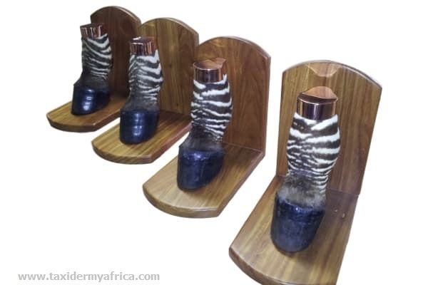 Zebra Feet Book Ends