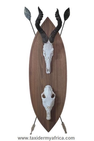 Custom Zulu Shield with carved Skulls